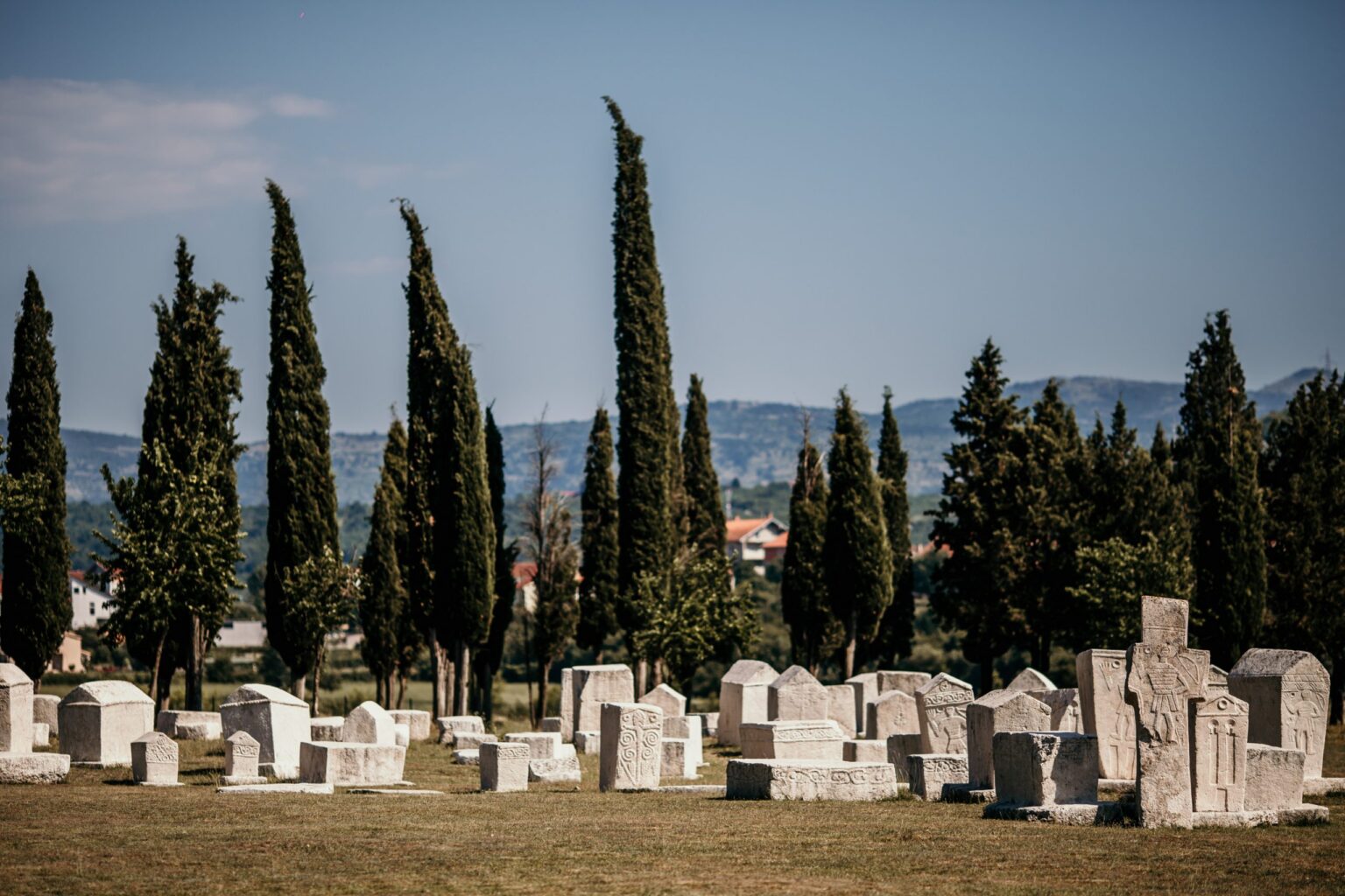 The Adriatic Expedition