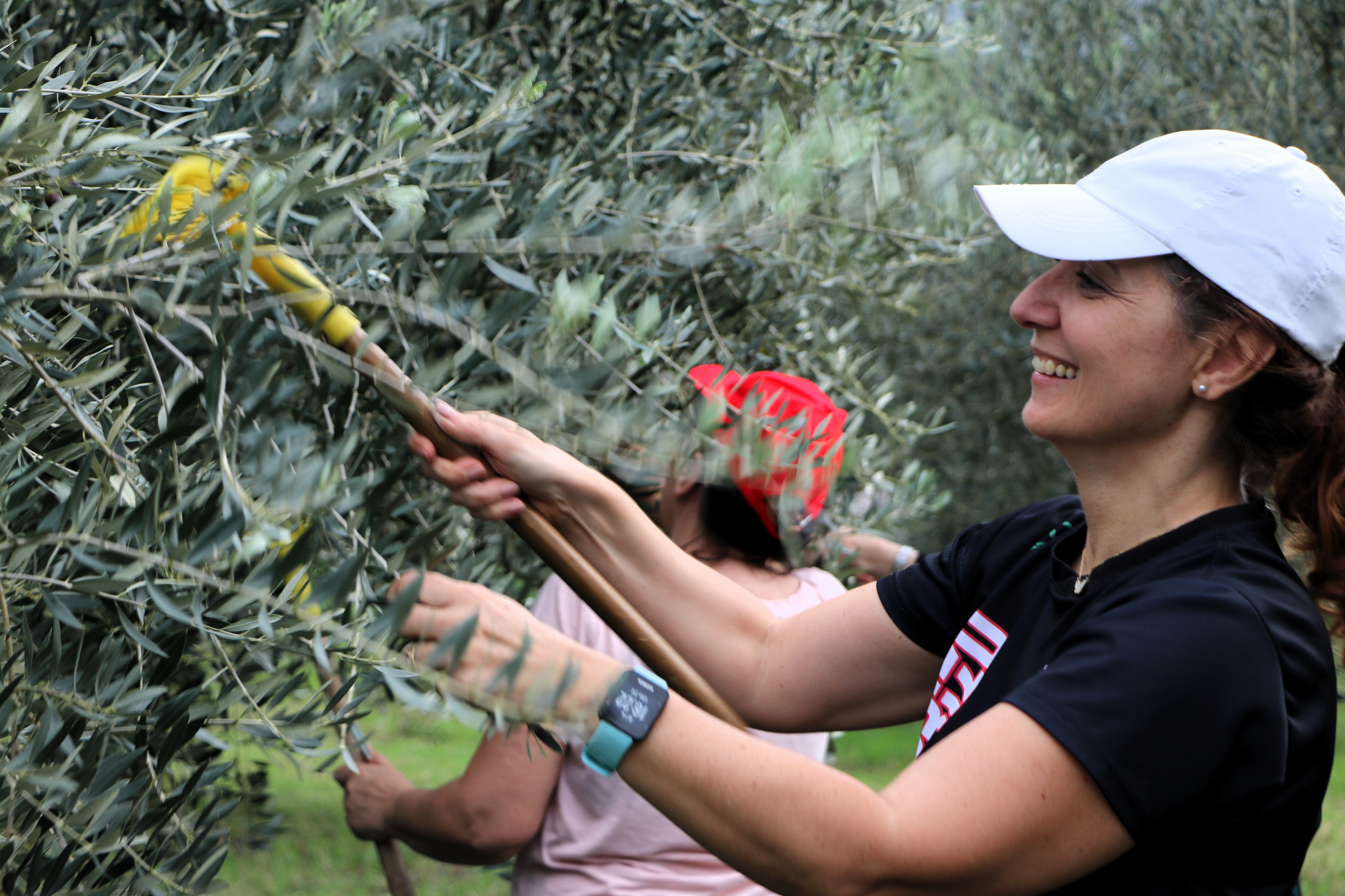 Herzegovina Wine Route – Premium Signature Experience