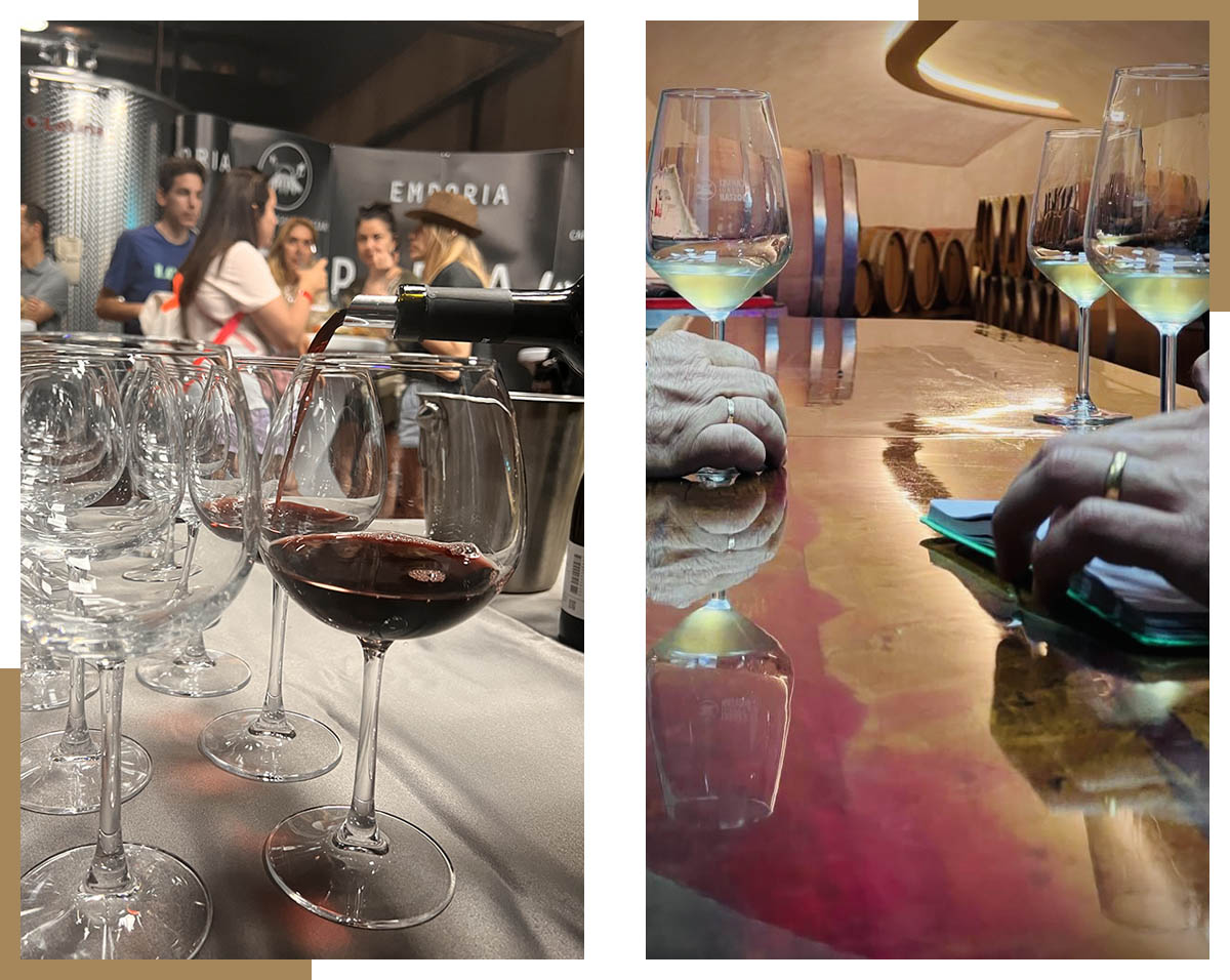 Herzegovina Wine Route – Premium Signature Experience