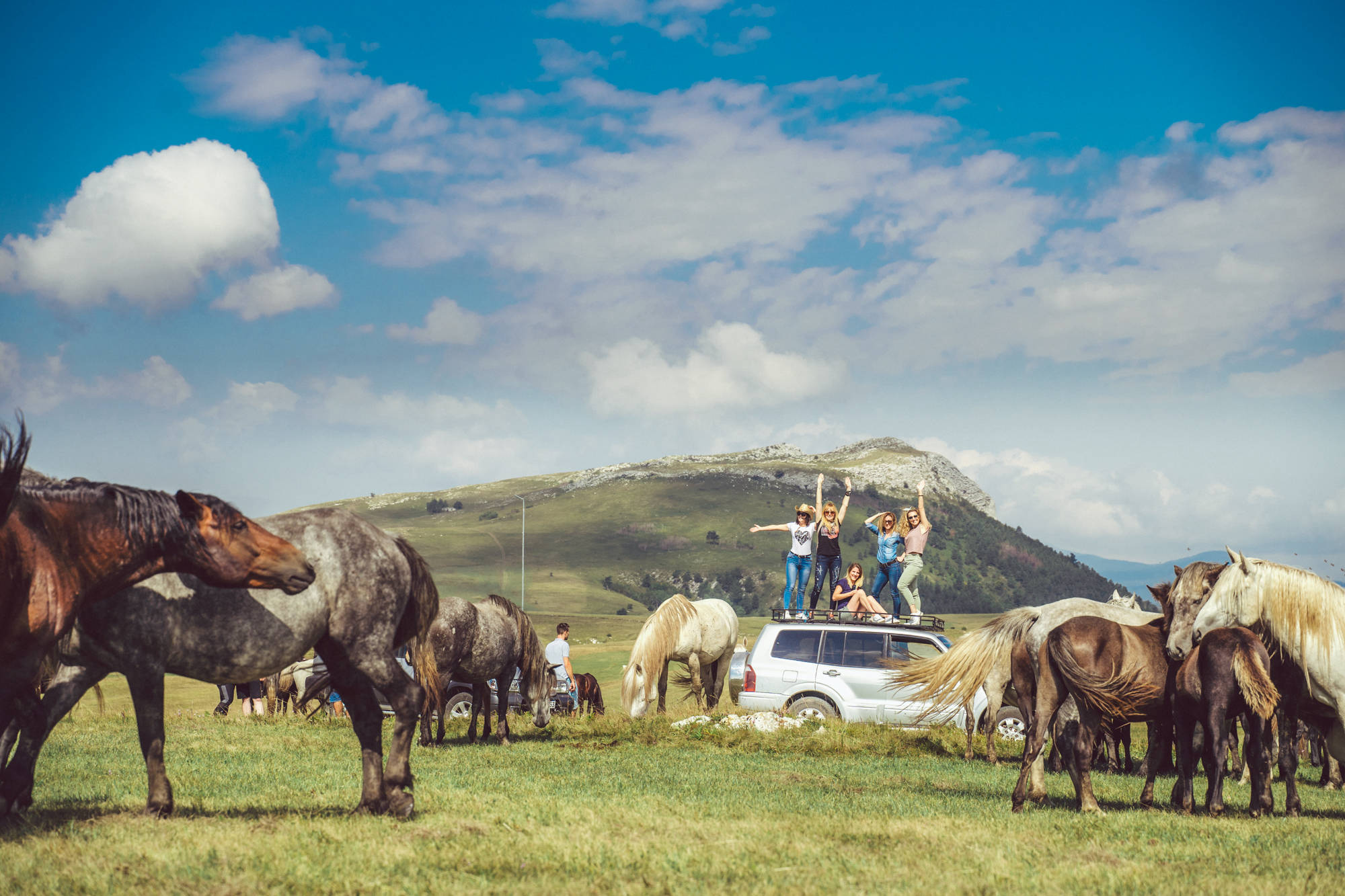 Wild Horses Safari Trip to Livno